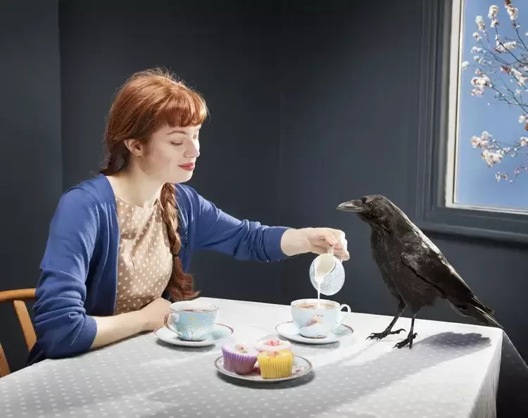 9 Reasons Crows Are Smarter Than You Think 7