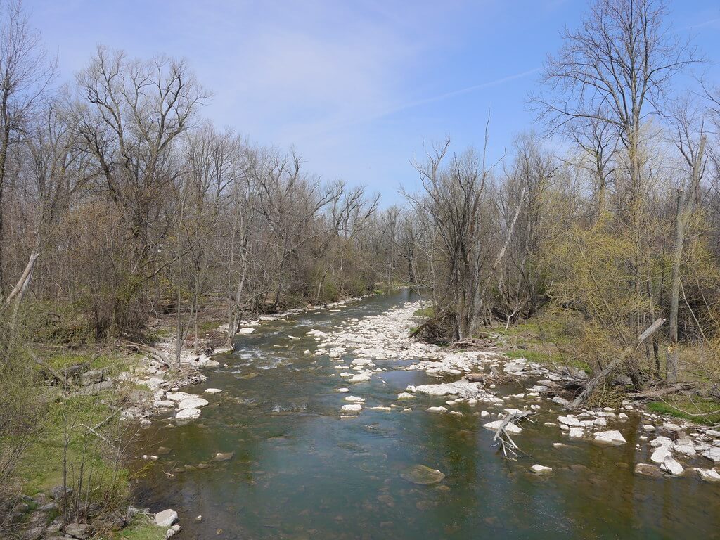 A little girl survived a 1 hour submersion in freezing creek water 1