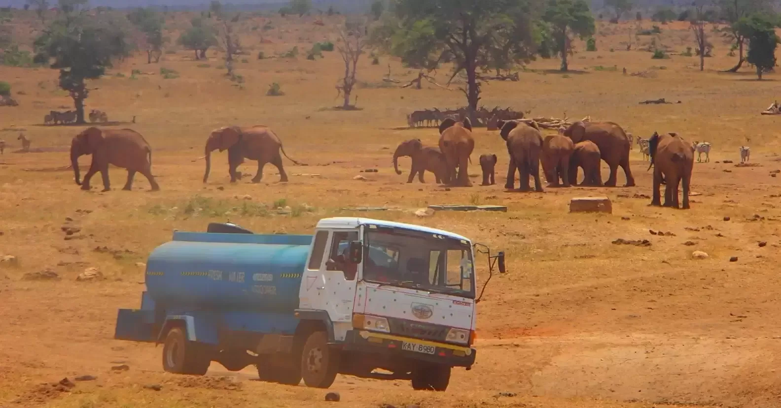 A man travels for hours daily through a drought to provide water for wild animals 4