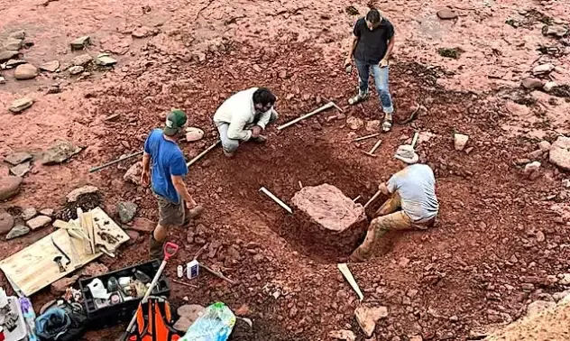 Canadian Schoolteacher Discovers a Fossil That May Be 300 Million Years Old 2