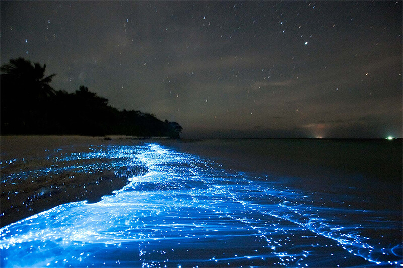 Luminous water Thailand