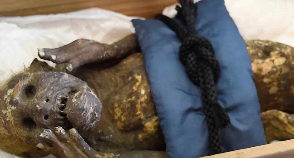 Mystery of 300 year old mummified mermaid is being probed 3