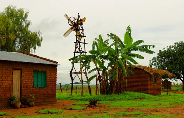 Self taught William Kamkwamba built windmill for his town 1