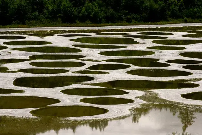 The Mystery of Canadas Magical Spotted Lake 1
