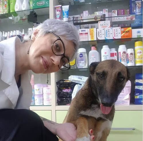 The viral stray dog walked up to a pharmacy in Istanbul and showed an injured paw 3