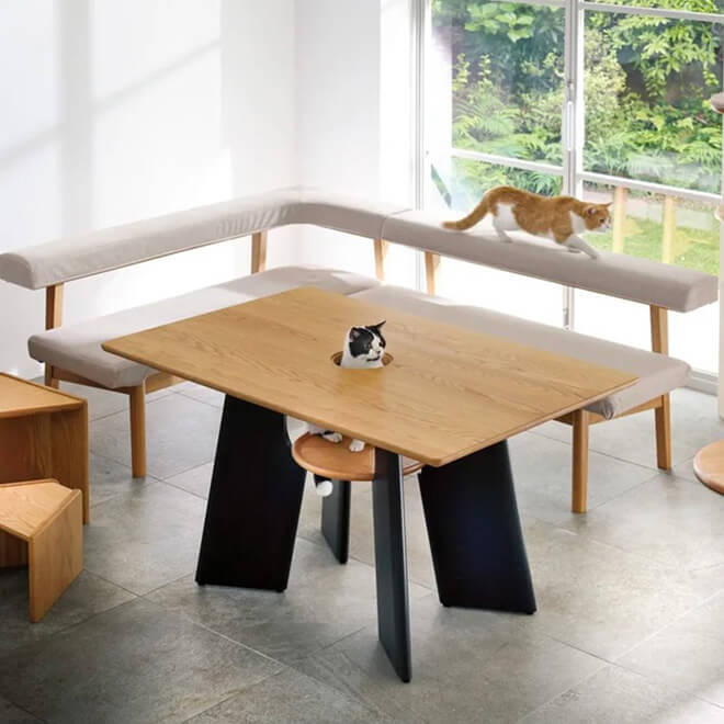 Unique Dining table with a hole for your cat to peek and join you for dinner 1