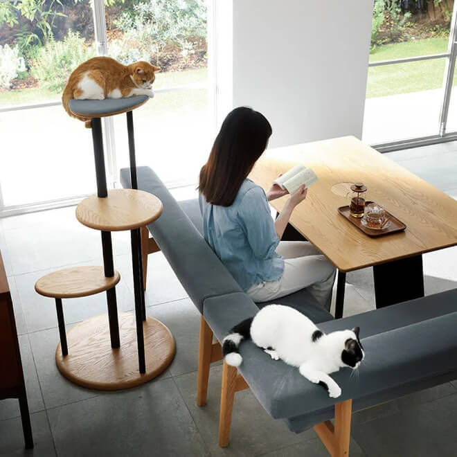 Unique Dining table with a hole for your cat to peek and join you for dinner 6