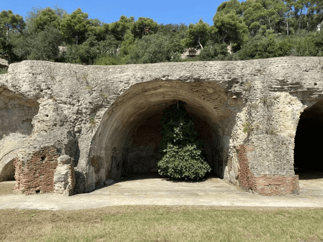 Upside Down Fig Tree From The Roof Of An Ancient Ruin in Italy 2