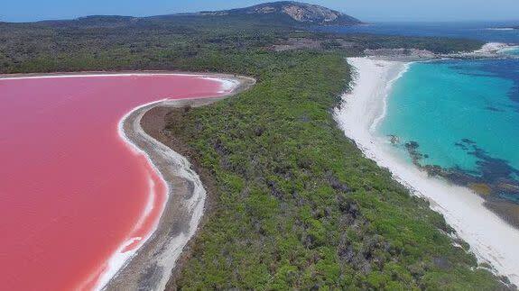 What is secret behind the Australias mysterious pink lake 1