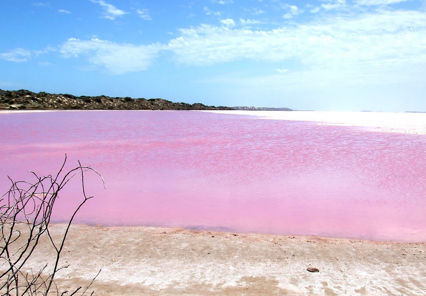 What is secret behind the Australias mysterious pink lake 2