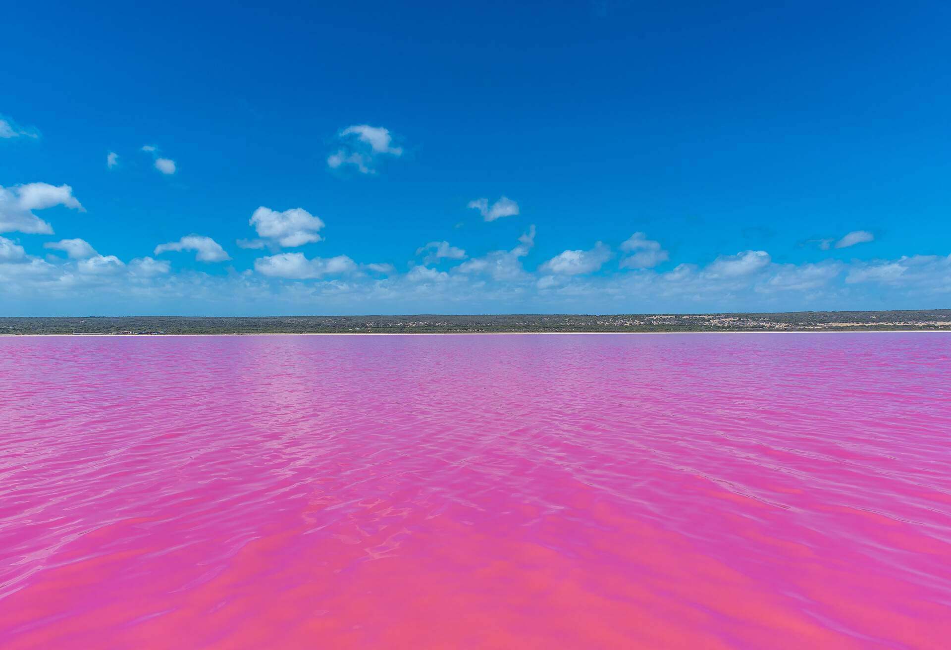 What is secret behind the Australias mysterious pink lake 3