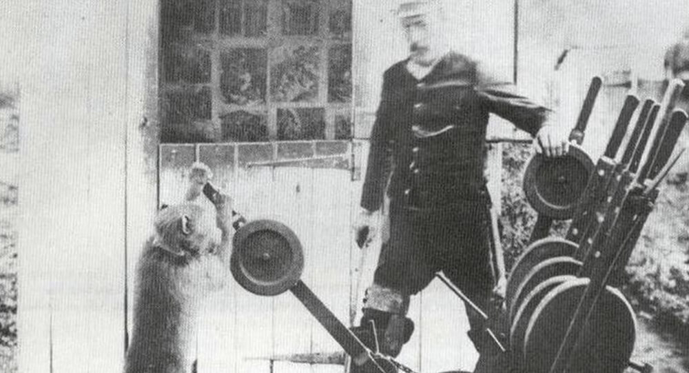 Jack the Baboon operated a railroad, earned a living, and never made a mistake