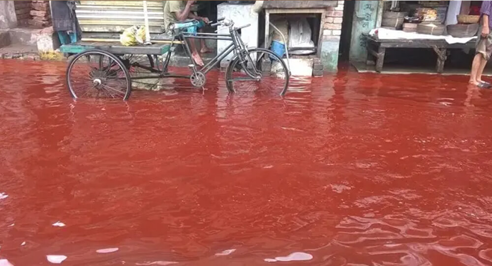 Mystery SOLVED: blood Rain in India