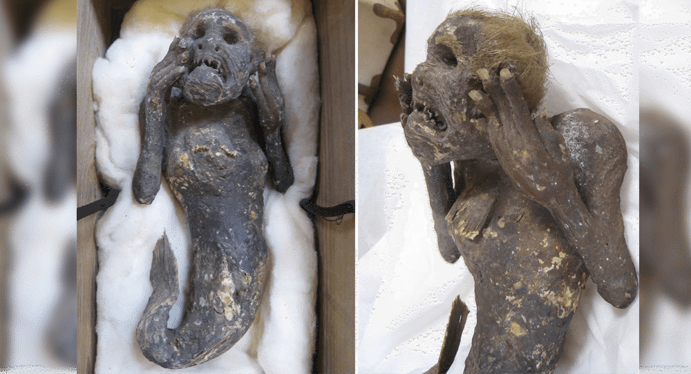 Mystery of 300-year-old mummified mermaid is being probed