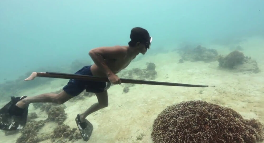 The unusual ability of 'sea nomads' to hold breath is due to one major organ