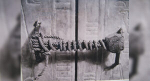 The unbroken seal on King Tutankhamun's tomb until 1922