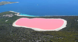 What is secret behind the Australias mysterious pink lake cover