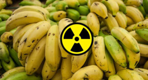 What makes bananas radioactive