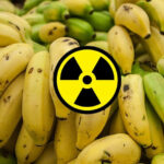 What makes bananas radioactive?