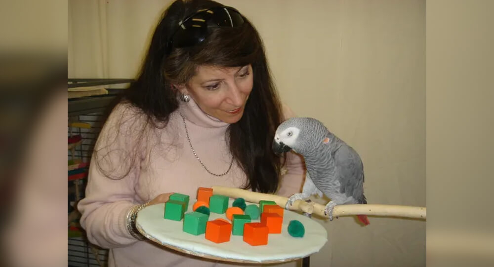 Remembering Alex: The African Grey Parrots Final Message