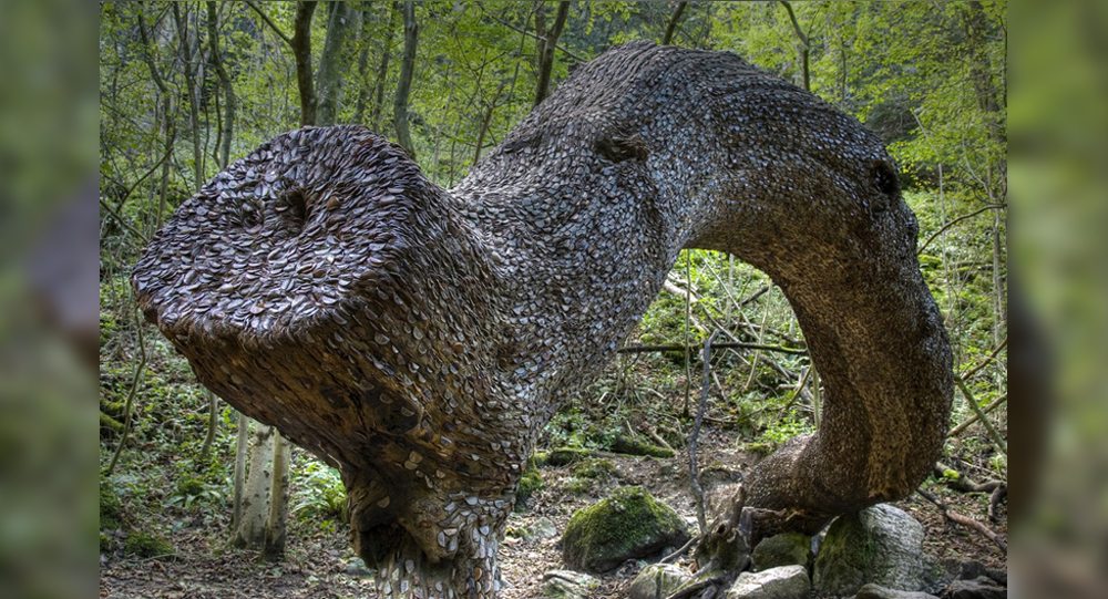 The Mystical Money Tree of the Scottish Highlands: A 1,700-Year-Old Tradition