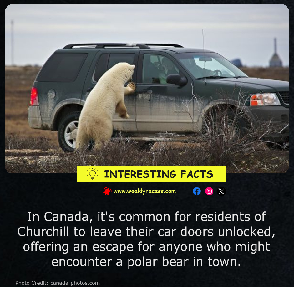 Why People in Churchill, Canada Leave Their Car Doors Unlocked