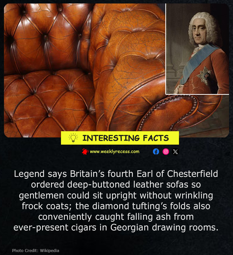 The Chesterfield Sofa: Born from Elegance and Ash