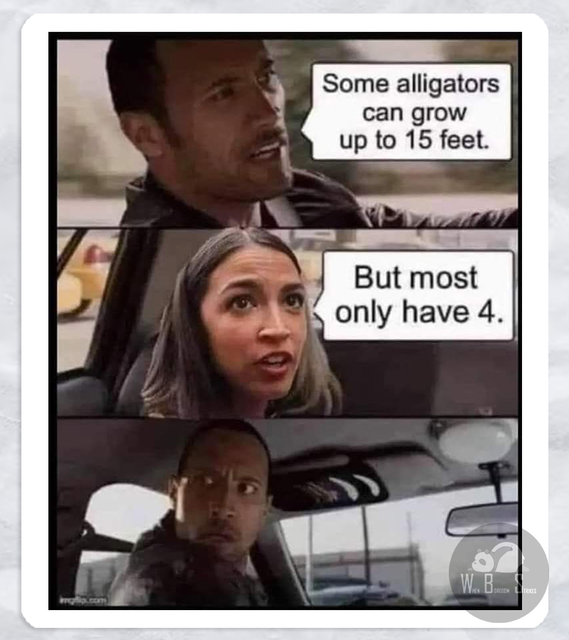 Recess Laugh #03 - Alligator with 4 feet