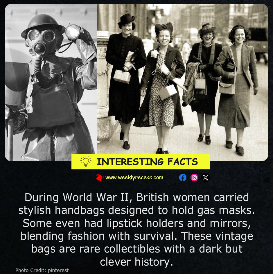 When Fashion Met Fear: The Gas Mask Handbags of WWII