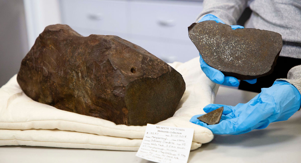 The Man Who Kept a “Gold” Rock for Years—Only to Discover It Was a 4.6-Billion-Year-Old Meteorite Worth a Fortune