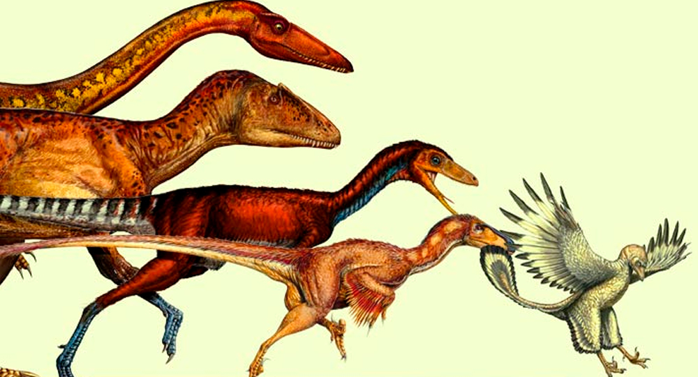 The Evolution of Flight: From Dinosaurs to Birds – A Journey Through Time and Science