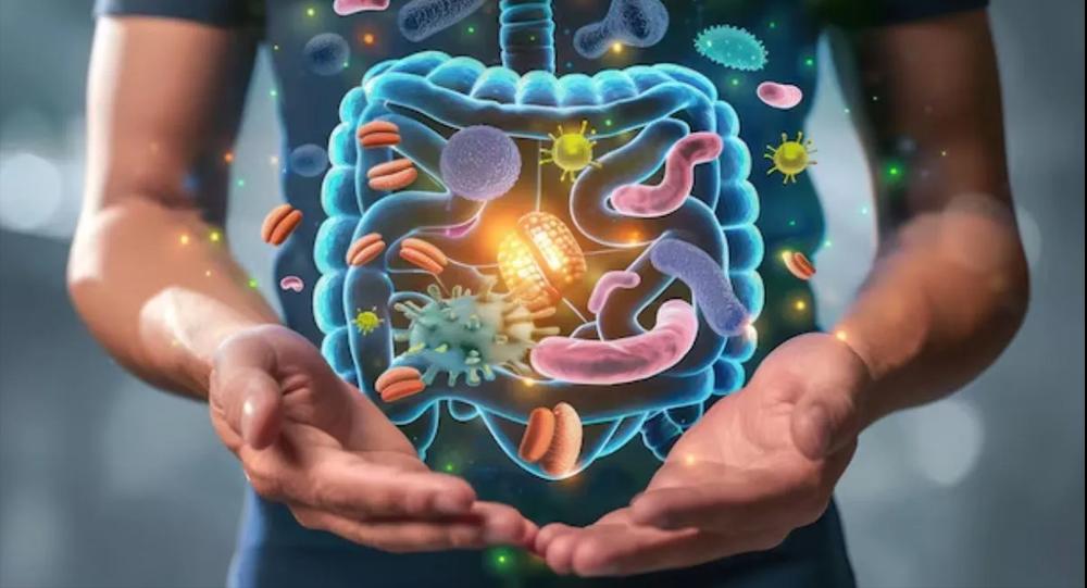 How Gut Health Affects Your Immune System