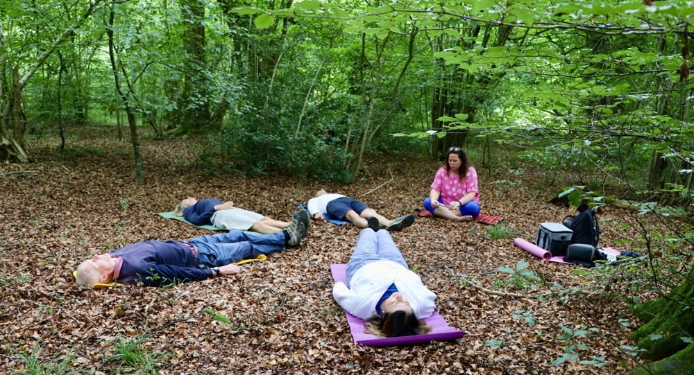 The Benefits of Forest Bathing and Why It’s Gaining Popularity Worldwide