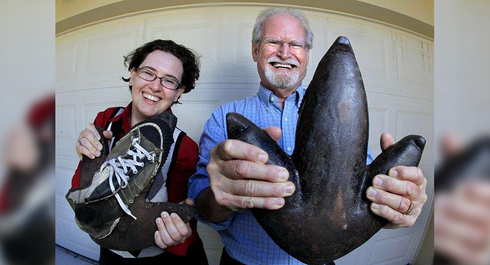 How a Man Fooled Florida with Fake Penguin Tracks for 10 Years